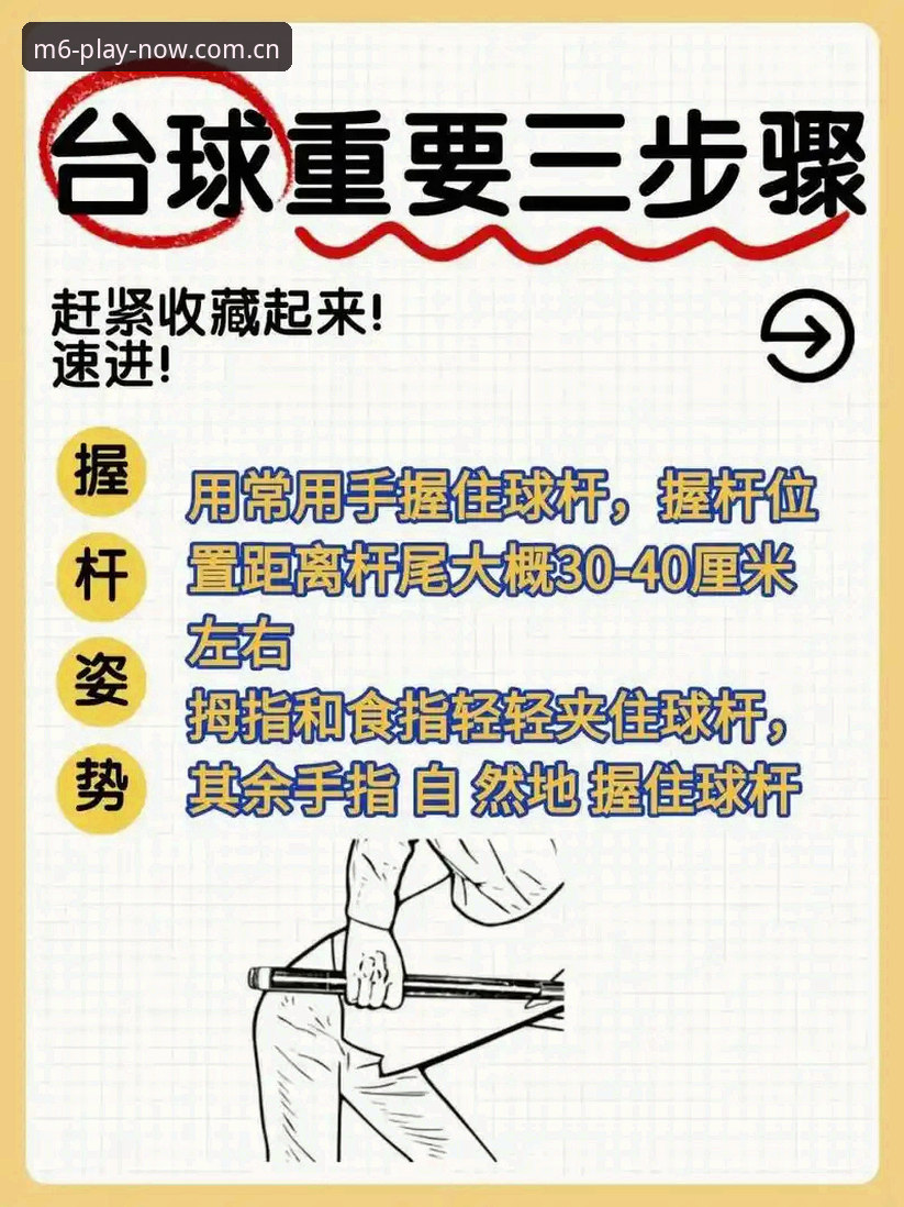 M6体育平台使用教程哪个好？实用技巧与必备知识全解析